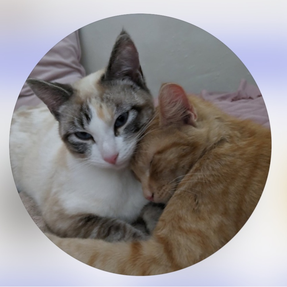 Meet your Posher, Zoe